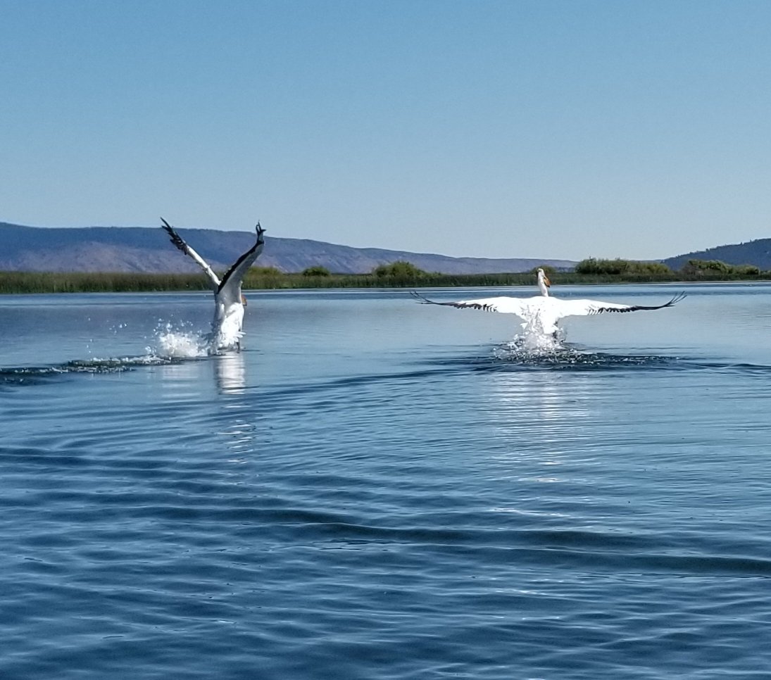 Adventure Oregon Youth Outreach Program