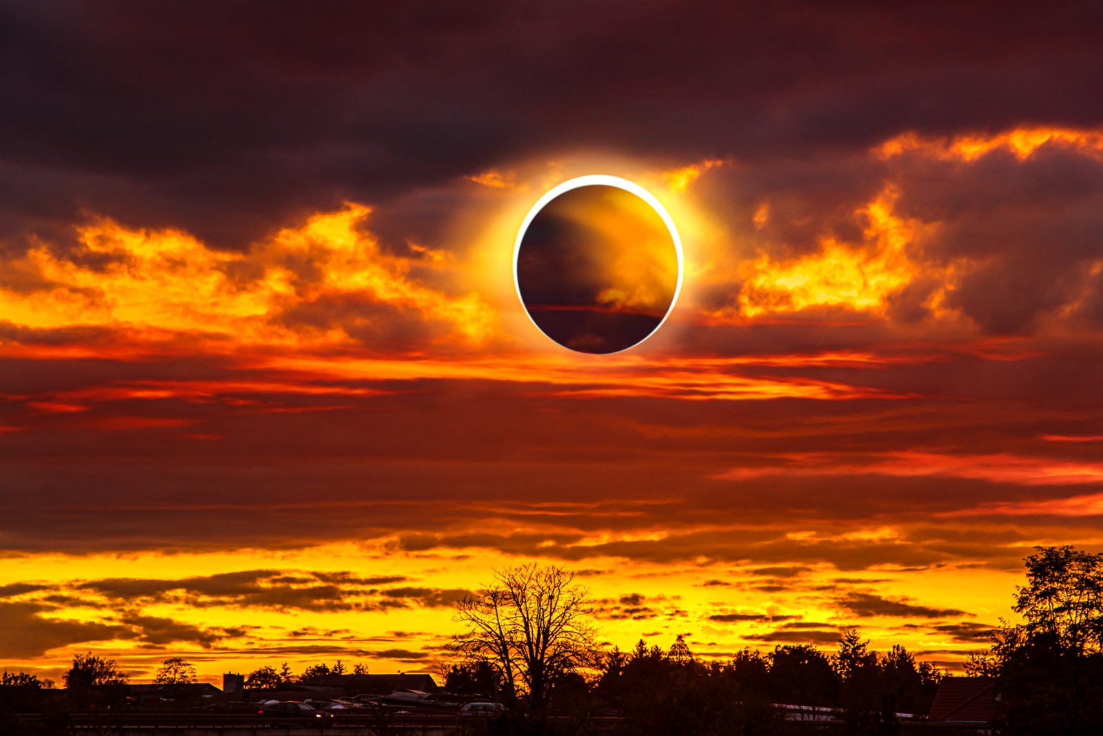 Eclipse Into Nature at The Running Y Resort