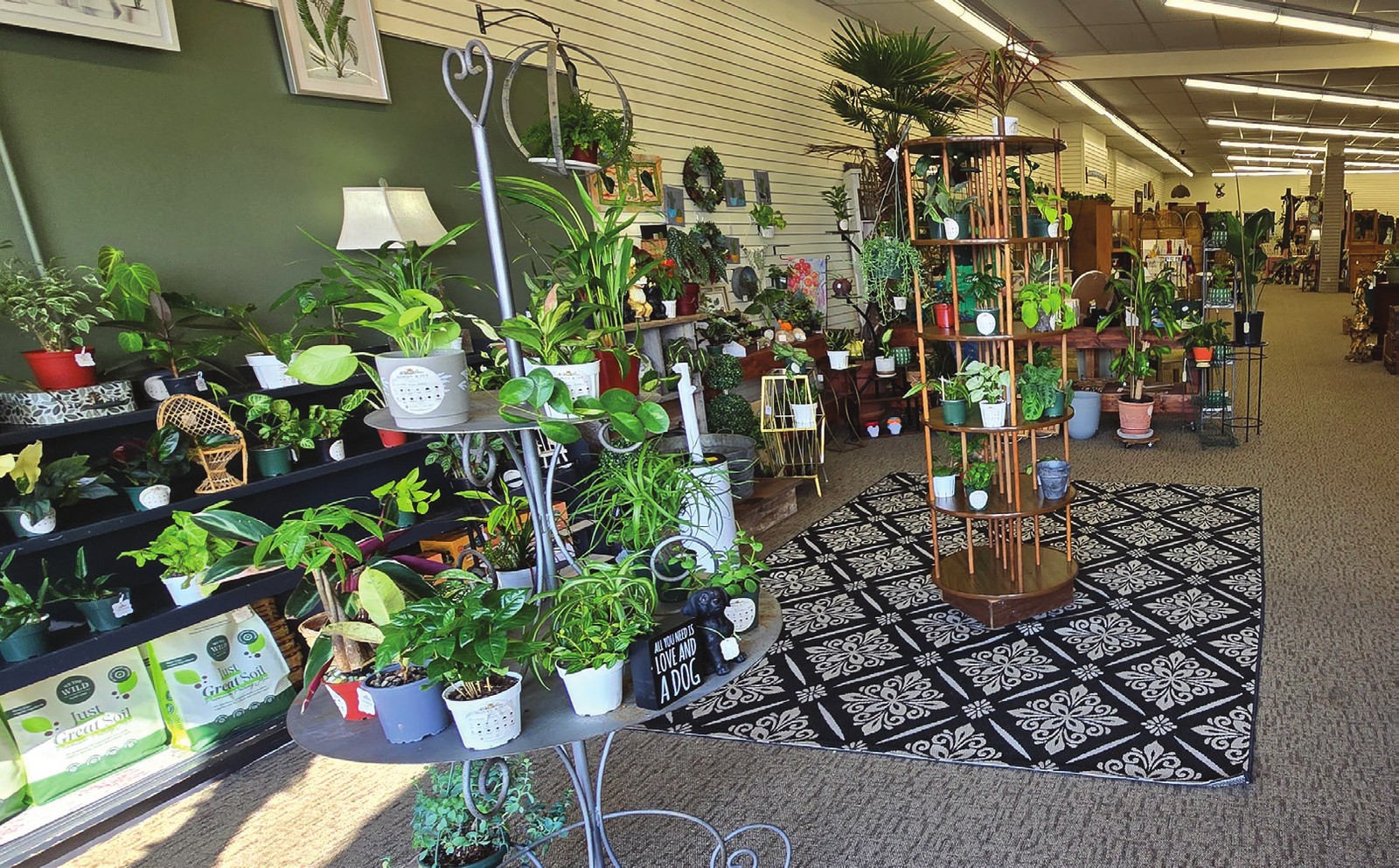 Houseplants, vintage finds and curated resale fill the front room of Honey & Ivy Collective in Klamath Falls