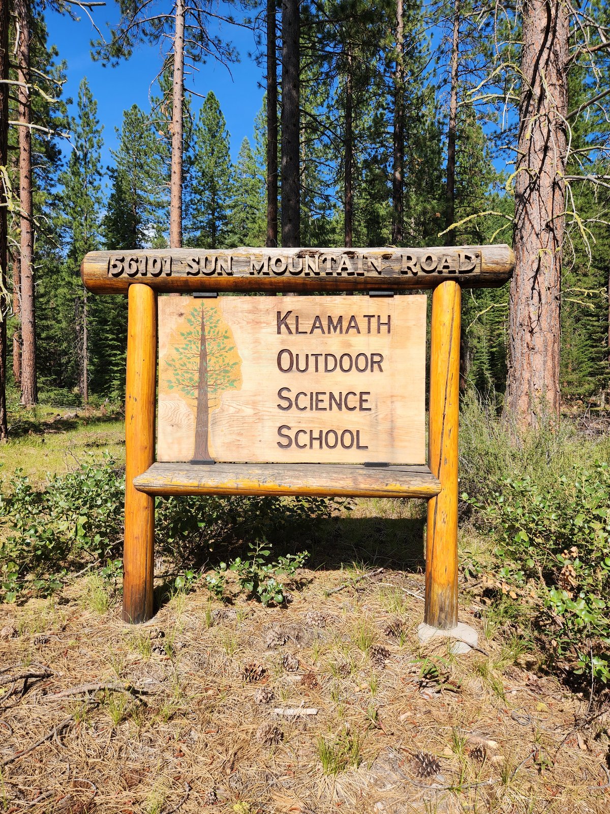 Klamath Outdoor Science School and Local Girl Scouts Work Together to Empower Youth