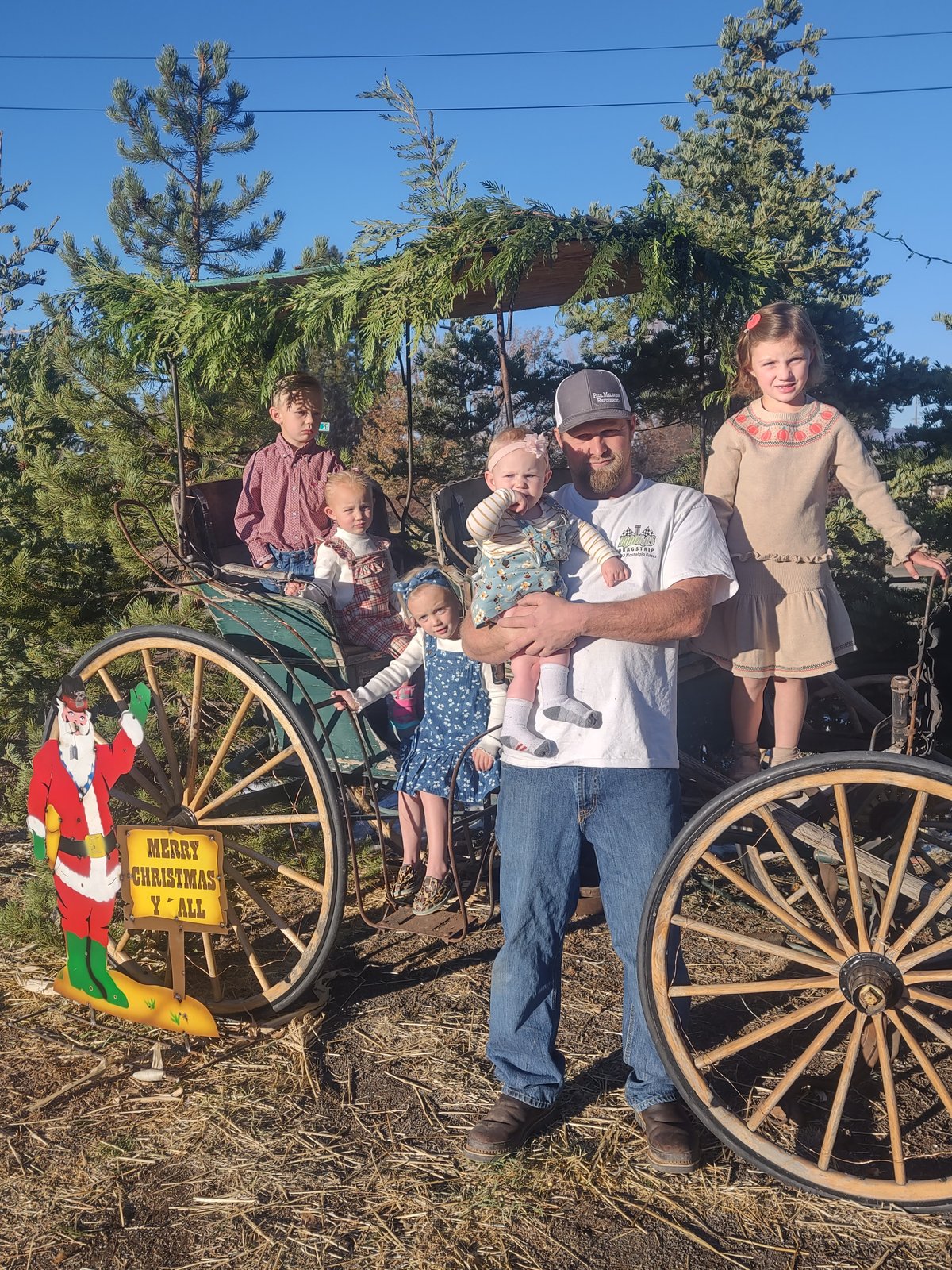 Unveiling the Artistry: Paul Melsness Refinishing's Journey of Precision and Perfection