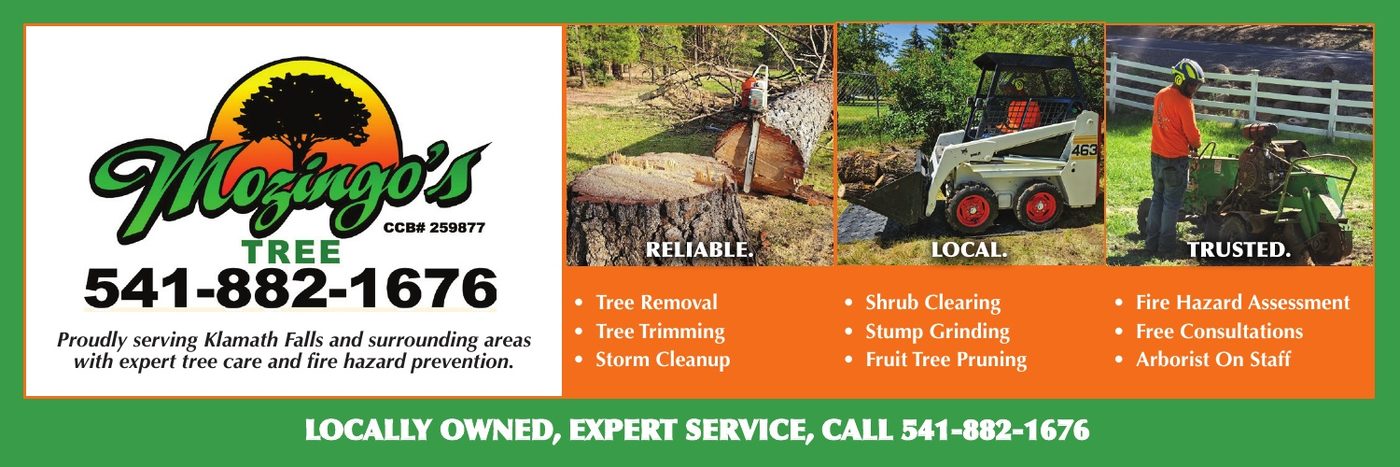 Mozingo's Tree advertisement in Klamath Living