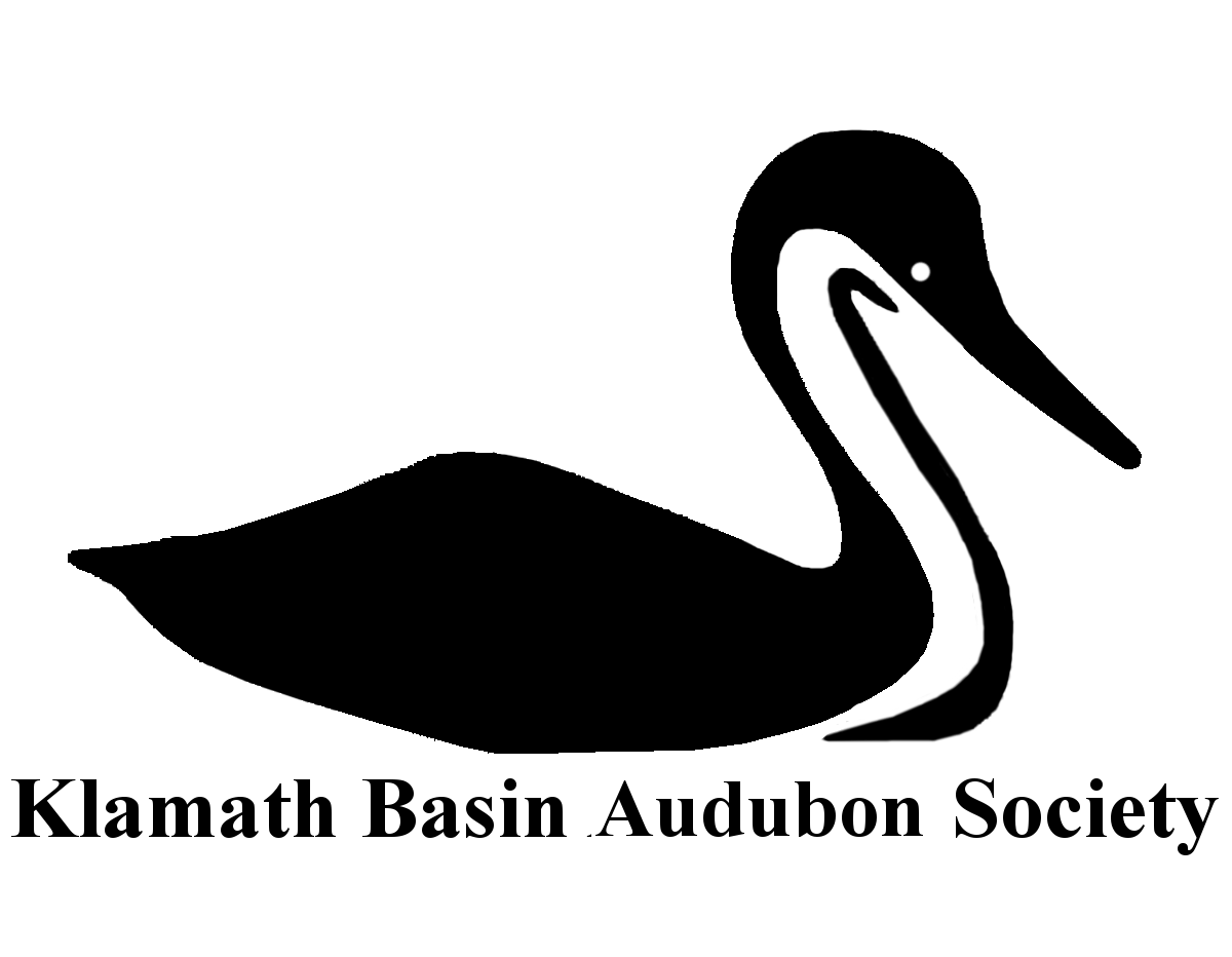 Klamath Basin Migratory Bird Day logo