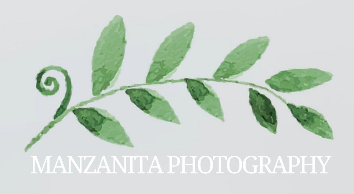 Manzanita Photography