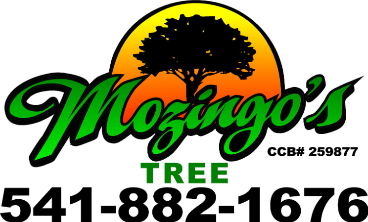 Mozingo's Tree