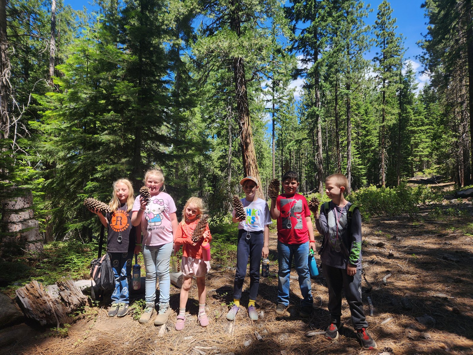 A group of summer campers from 2024 collected sugar pine cones on a hike.