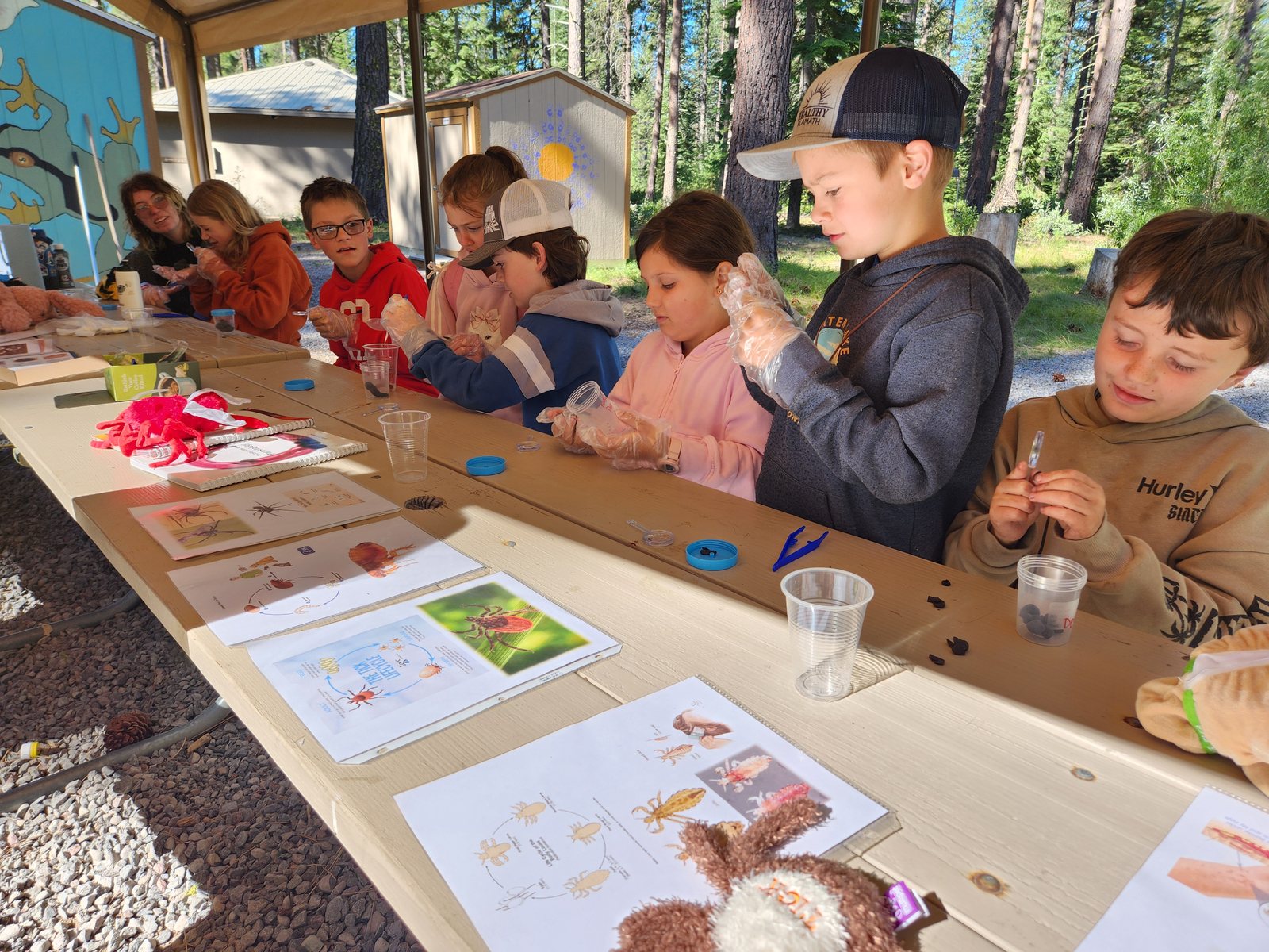 Exploring the world of parasites through a hands-on activity where campers search through fake fecal matter
