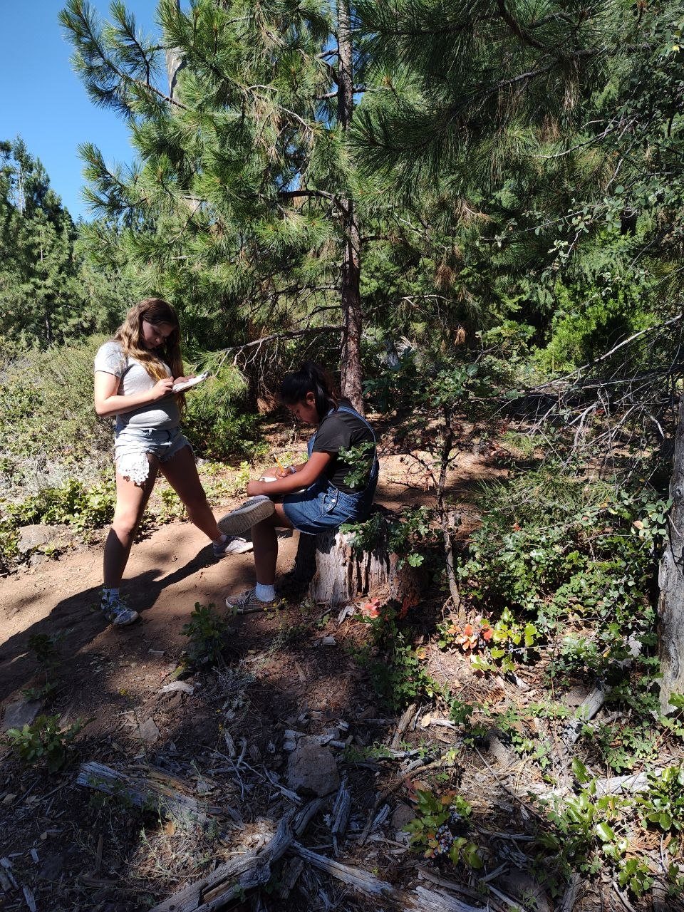 Students nature journaling in the shade along a trail at Spence Mountain