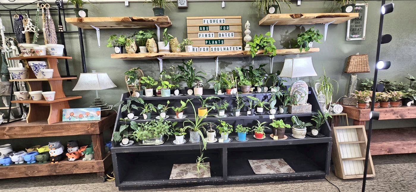Houseplants with personality