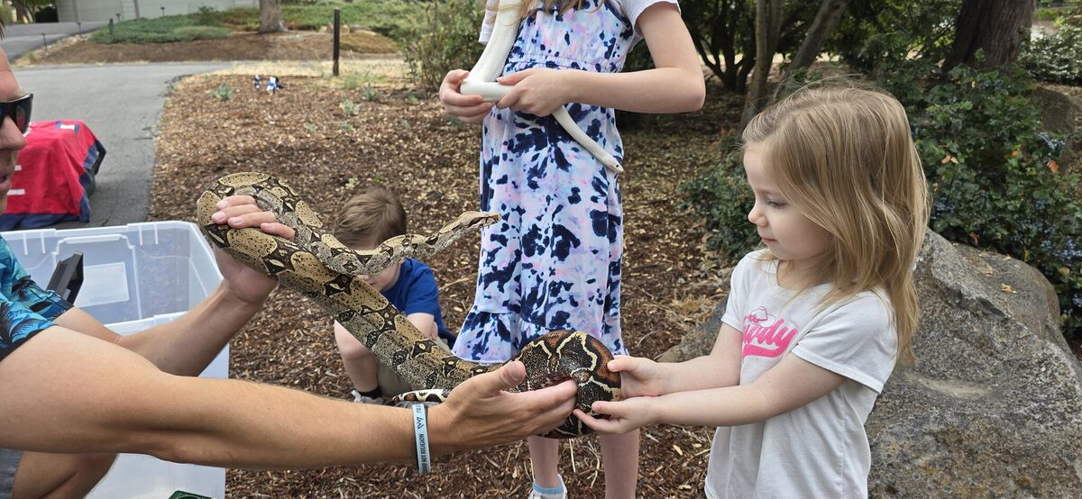 James hands his boa constrictor to the kids for their first hold