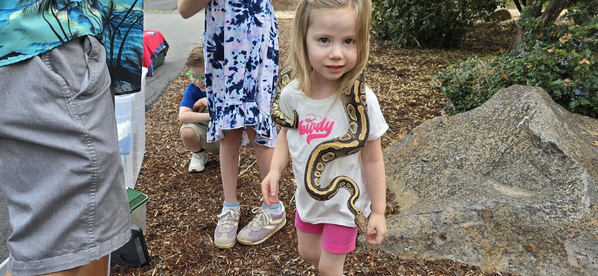 Josie wears a ball python like it is no big deal