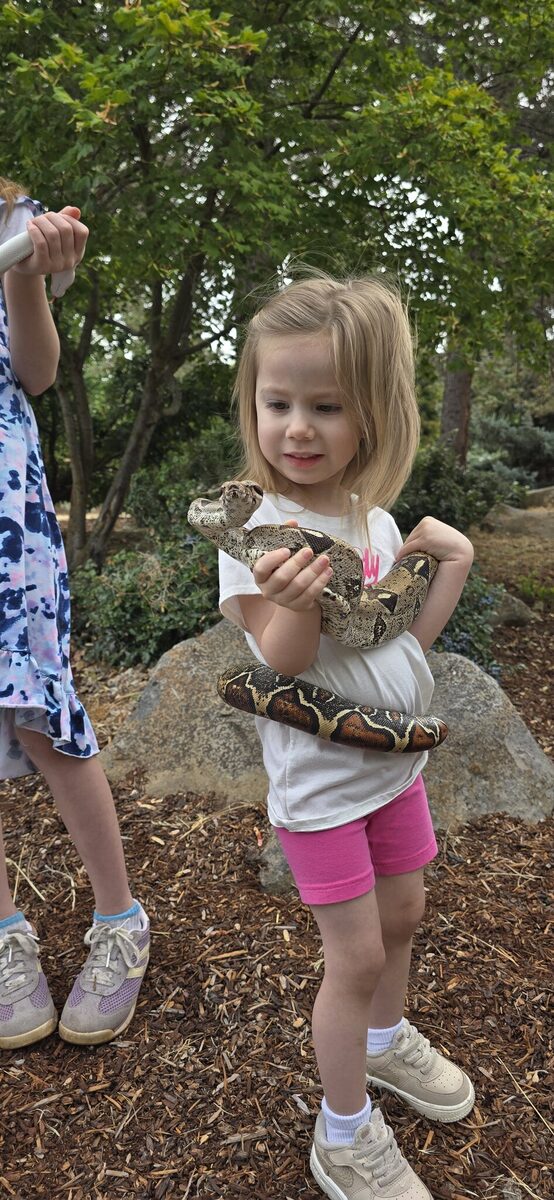 Our shy one, all smiles with a boa constrictor