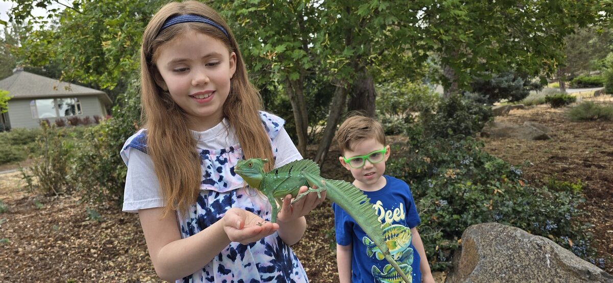 Holding a green basilisk — the lizard that can run on water