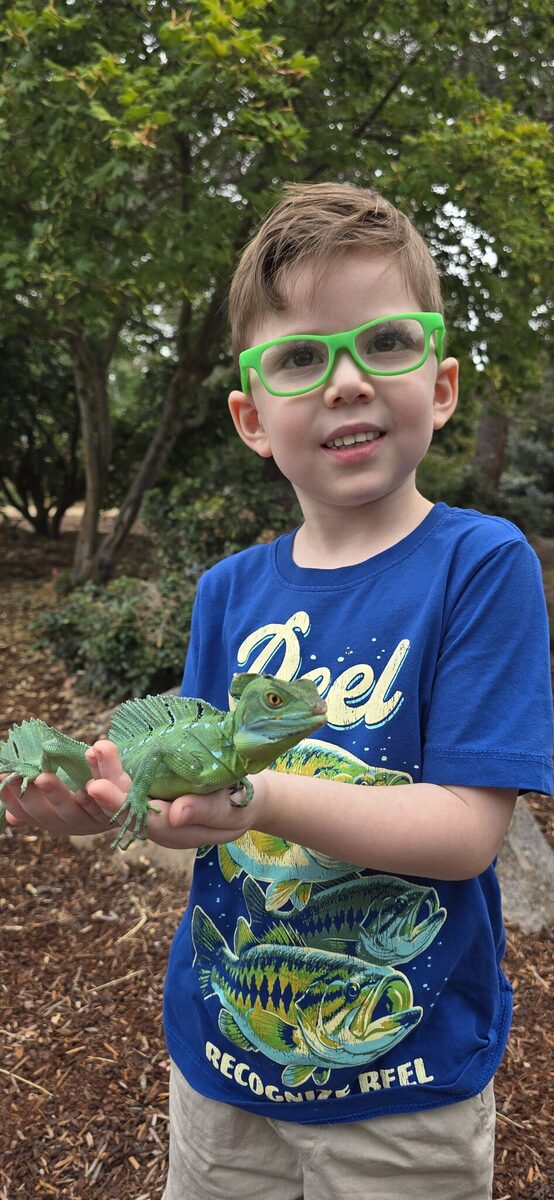 The green basilisk finds a new friend