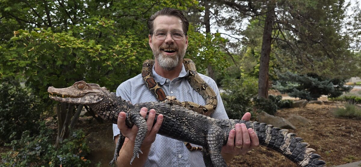 Snake on the shoulders, caiman in hand — surprisingly relaxing