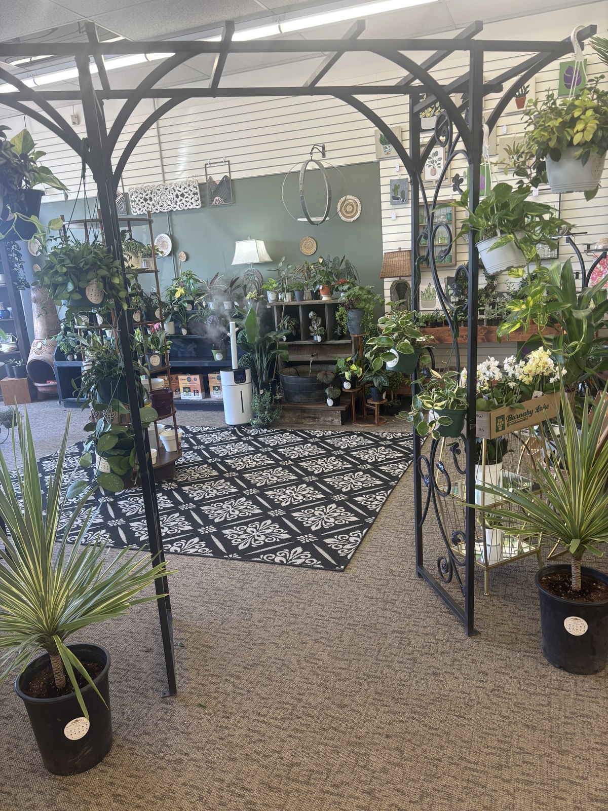 An iron arch draped in greenery anchors a houseplant display inside Honey & Ivy Collective