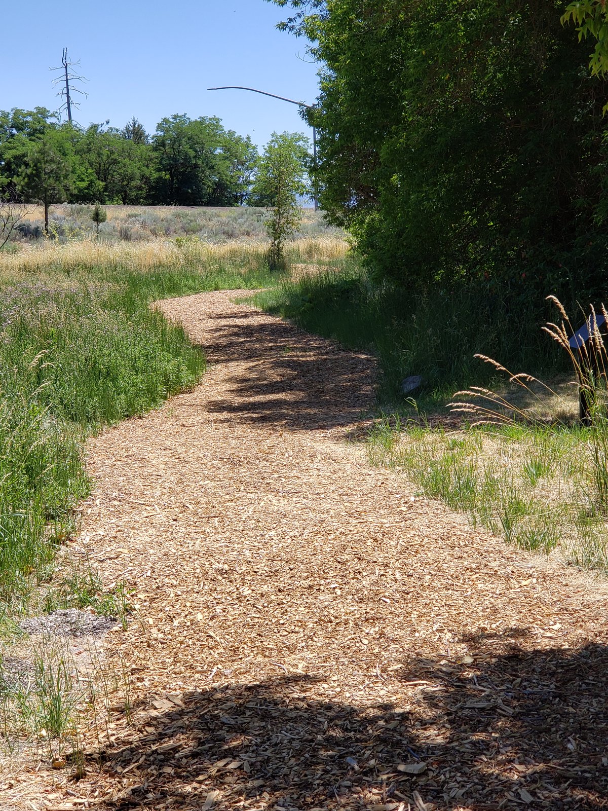 04-Klamath-Falls-Wingwatchers — photo 1