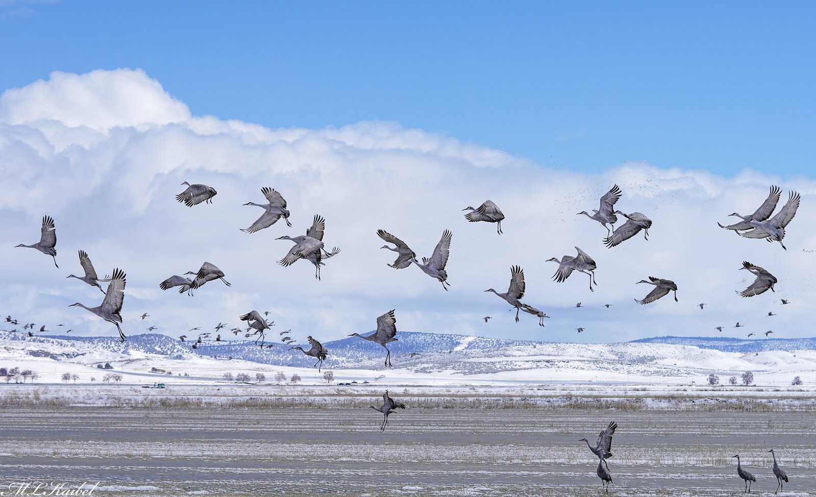 04-Klamath-Falls-Wingwatchers — photo 2