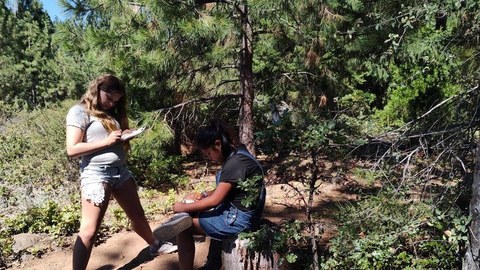 Students nature journaling on a trail at Spence Mountain