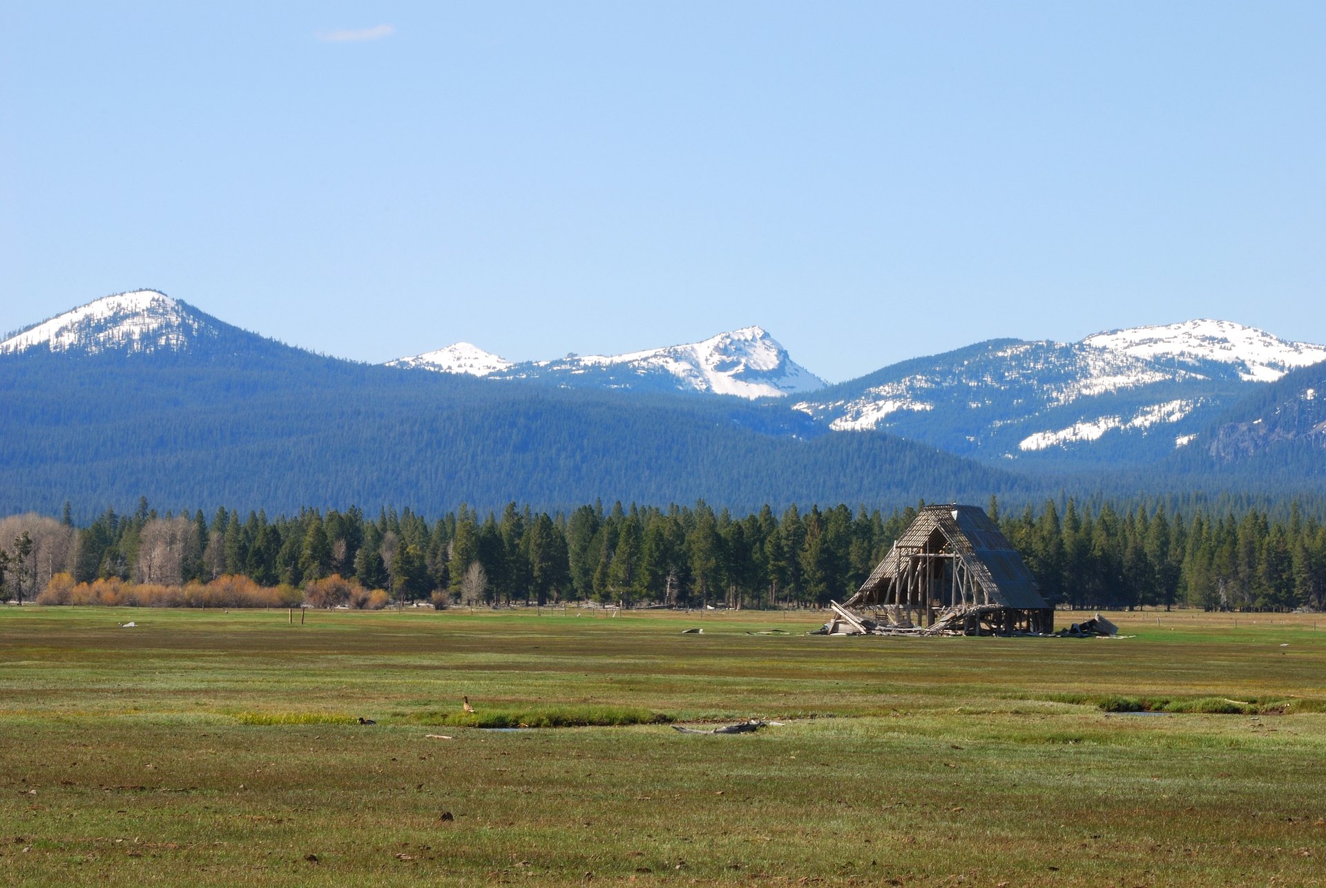 Tony Nunes — Klamath Falls Realtor — Klamath Basin landscape