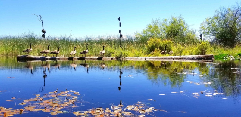 Adventure Oregon of Klamath Falls | Guided Tours &amp; Kayak Rentals