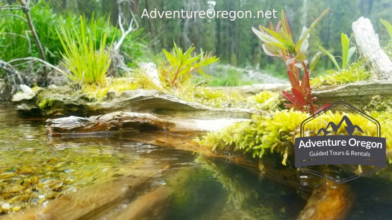 Adventure Oregon of Klamath Falls